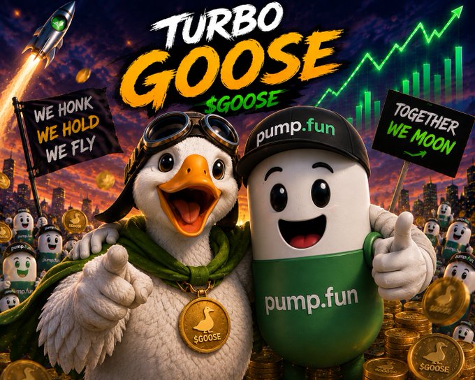A vibrant promotional graphic for 'TURBO GOOGE $GOOGE' featuring a cartoon goose wearing goggles, standing next to a 'pump.fun' mascot, with signs reading 'WE HONK WE HOLD WE FLY' and 'TOGETHER WE MOON', alongside green upward-trending charts.