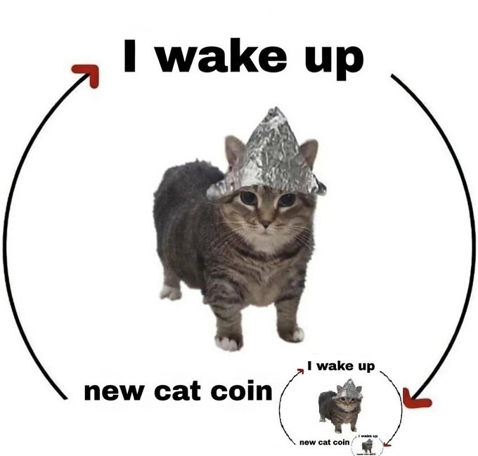 Meme featuring a cat wearing a tinfoil hat with the text 'I wake up' and 'new cat coin' arranged in a circular arrow pattern, repeating in a smaller version in the corner.