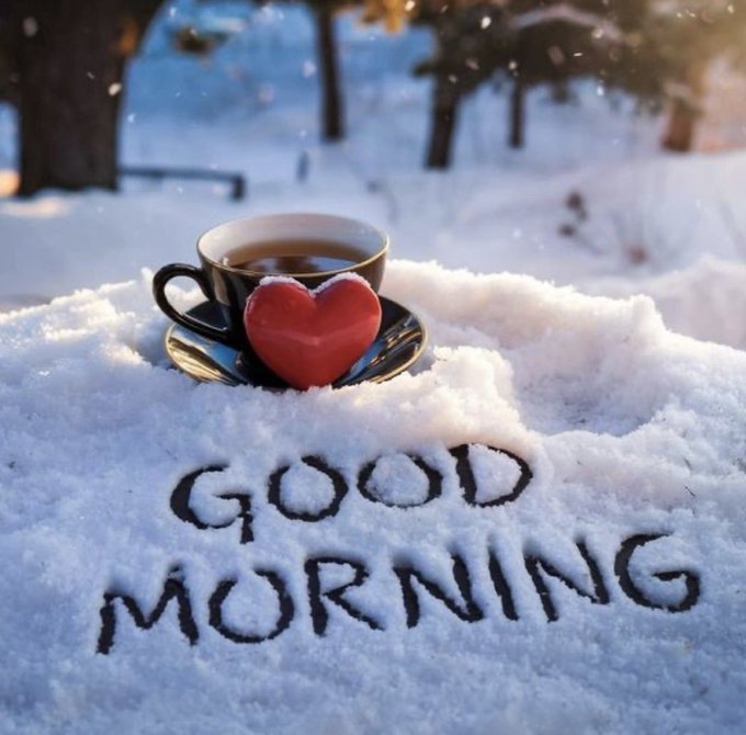 A cup of coffee with a heart-shaped pastry on a saucer placed in the snow, with 'GOOD MORNING' written in the snow below in a winter forest setting.