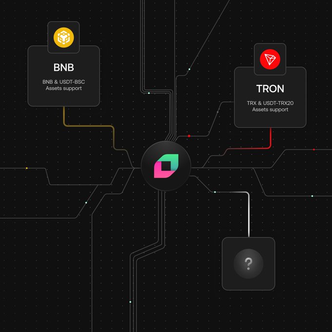 A blockchain network diagram displays a central Polygon hub connected to three nodes: BNB (BNB & USDT-BSC assets support) at top-left, TRON (TRX & USDT-TRX20 assets support) at top-right, and an unidentified question mark node at bottom-right, visually echoing the announcement that TRON is now live, BNB is upcoming, and inviting users to suggest the next blockchain integration.