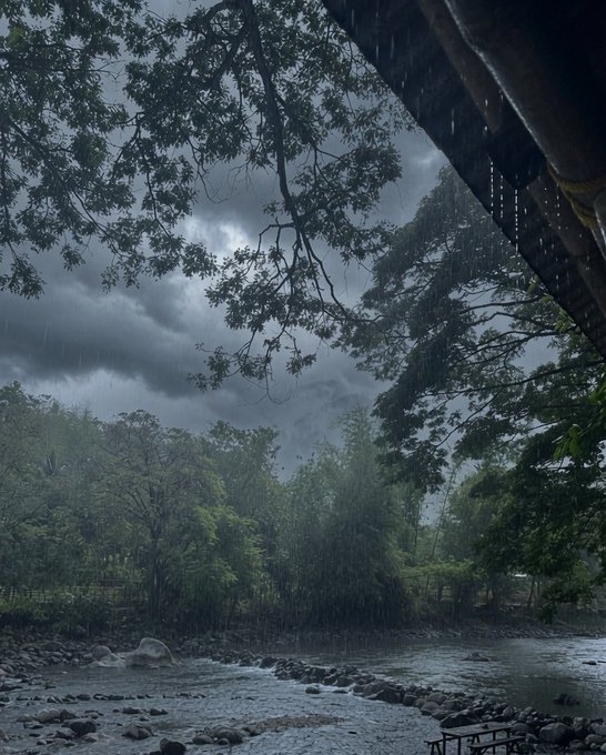A moody, overcast scene of heavy rain falling on a rocky stream surrounded by dense tropical trees, shot from under a thatched roof.