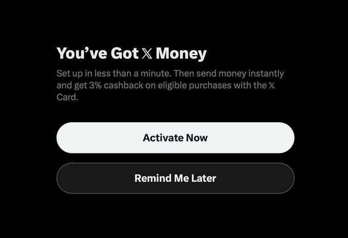 The image displays an X (formerly Twitter) promotional screen titled "You've Got X Money" advertising a 3% cashback offer for instant money transfers via the X Card, with "Activate Now" and "Remind Me Later" buttons. The accompanying post humorously speculates about potential use cases for this new X payment feature, jokingly envisioning paying for MrBeast's car insurance and using "ishowspeed finance enabled disneyworld coupons on walmarts mcdonalds network appchain" — tying directly to X's expansion into financial services.