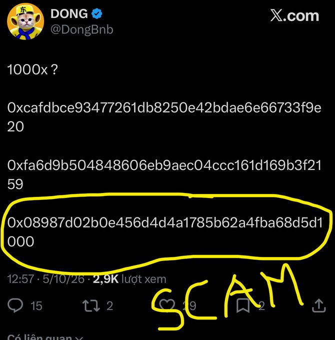 A Twitter/X post from verified account DONG (@DongBnb) asking '1000x?' with three blockchain addresses displayed, one of which is circled in yellow with the word 'SCAM' written below in yellow.