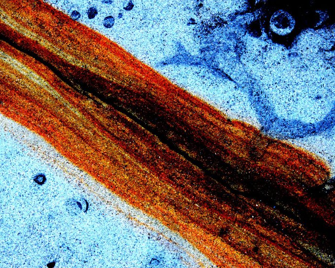 A highly textured, abstract image showing orange and yellow diagonal streaks contrasting against a blue, porous background.