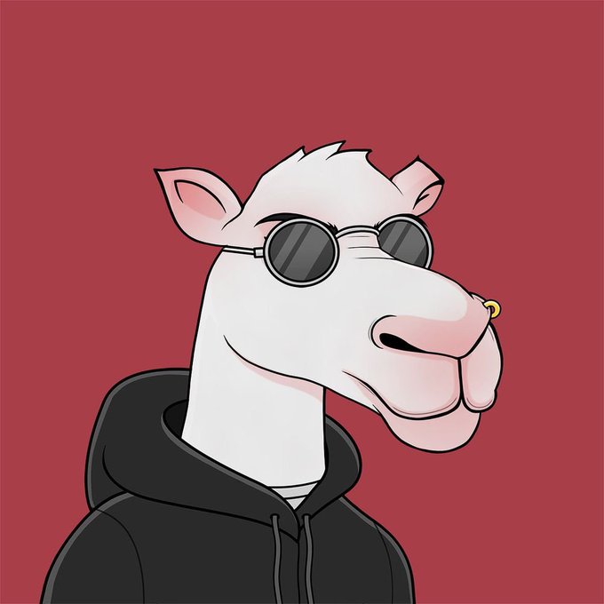 Digital illustration of a white goat wearing round sunglasses and a black hoodie against a solid maroon background.