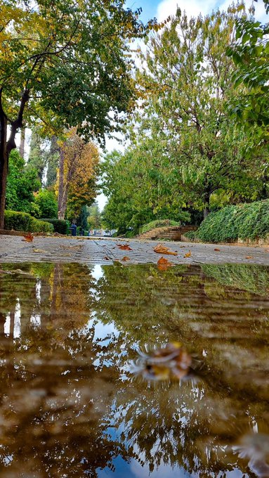 A puddle on a stone pathway reflects the surrounding autumn trees and cloudy sky, with scattered fallen leaves and people walking in the distance.