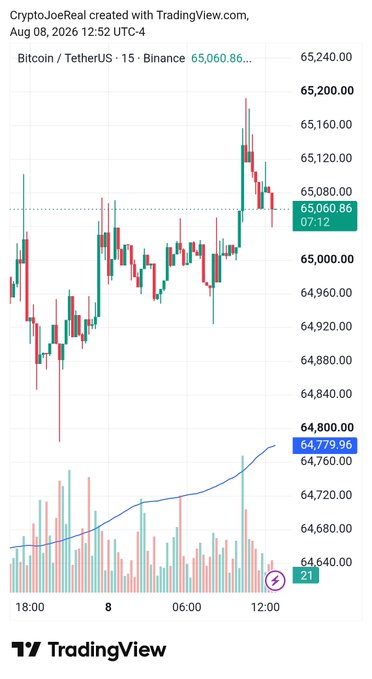 A TradingView Bitcoin/TetherUS 15-minute Binance chart showing price action around 65,060.86 as of August 8, 2026.
