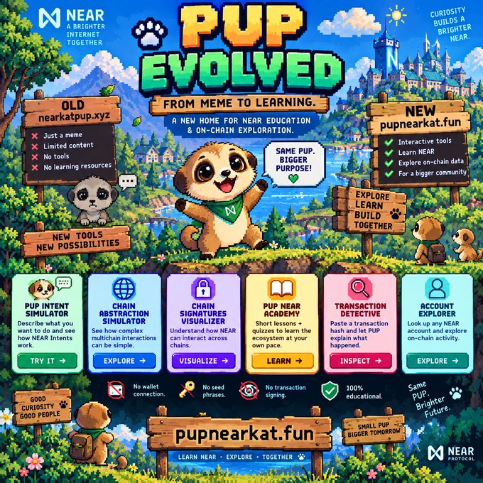 Promotional graphic titled 'PUP EVOLVED' advertising pupnearkat.fun, featuring a cartoon cat mascot and listing tools like 'PUP Intent Simulator,' 'Chain Abstraction Visualizer,' 'Chain Signatures Visualizer,' 'PUP Near Academy,' 'Transaction Detective,' and 'Account Explorer' under the NEAR Protocol brand.