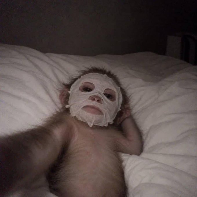 A baby monkey lies on a white pillow wearing a sheet mask, appearing to enjoy a moment of self-care. The image fits the post's "GM Web3" theme by playfully illustrating the idea of taking time to refresh and "build" oneself each new day.