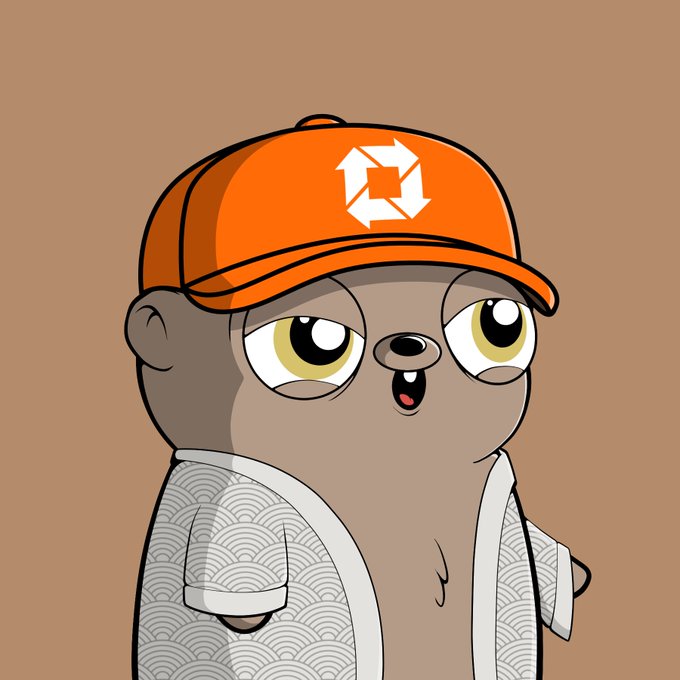 A digital illustration of a cartoon character with a large head, wearing an orange cap with a geometric logo and a patterned robe, set against a solid brown background.