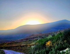 A scenic sunset view over a mountain range, with the sun glowing warmly behind rolling hills and wildflowers in the foreground.