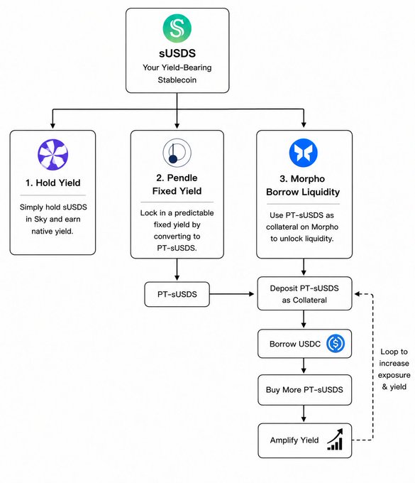 A flowchart diagram for sUSDS titled 'Your Yield-Bearing Stablecoin,' showing three options: '1. Hold Yield' (Simply hold sUSDS in Sky and earn native yield), '2. Pendle Fixed Yield' (Lock in a predictable fixed yield by converting to PT-sUSDS), and '3. Morpho Borrow Liquidity' (Use PT-sUSDS as collateral on Morpho to unlock liquidity, with a loop to increase exposure & yield).