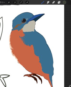 A digital illustration of a small bird with a blue head and back, orange chest, and white cheek patch appears to be in progress within a drawing app, with visible brush tools along the top toolbar. The accompanying post about the distinction between layer 1 and layer 2 suggests the image illustrates how digital artwork is built up through separate layers, with this bird's underdrawing and color layers shown without yet being fully integrated or refined.