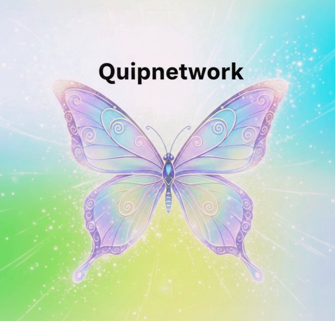 An illustration of a pastel-colored butterfly with blue and pink wings against a bright, sparkly rainbow background, with the text 'Quipnetwork' at the top.