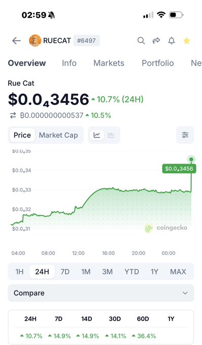 A CoinGecko mobile app screenshot displaying Rue Cat (RUECAT #6497) token at $0.03456, up 10.7% over 24 hours, with a price chart and various time-frame comparison percentages.