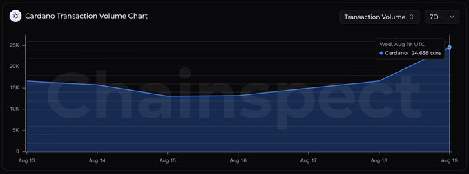 A Cardano Transaction Volume Chart from Chaininsect showing 24,638 transactions on Wednesday, Aug 19, with the 7-day volume line trending upward.