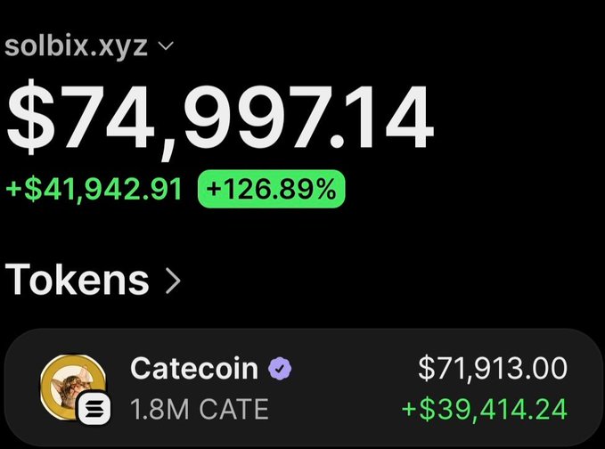 The image shows a crypto wallet tracker for the address "solbix.xyz" displaying a portfolio value of $74,997.14, up +$41,942.91 (+126.89%), with the main holding being 1.8M Catecoin (CATE) worth $71,913.00 (+$39,414.24), illustrating the post's claim of turning an initial $2,420 investment into roughly 21x gains.