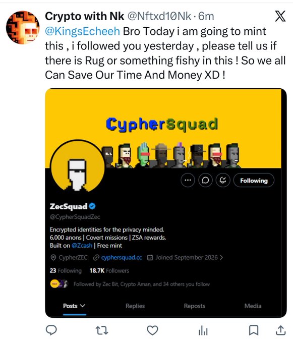 The image shows a tweet from "Crypto with Nk" (@Nftxd10Nk) tagging @KingsEchee about minting a project called "CypherSquad" (@CypherSquadZec) and asking if there's any rug pull risk. The embedded screenshot displays the project's Twitter profile, which features 8-bit pixel art characters, claims 6,000 anons, and was joined in September 2026. The caption relates to the poster's approach of using experience and common knowledge rather than technical analysis to spot potential red flags before participating in NFT mints.