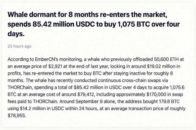A news headline reads 'Whale dormant for 8 months re-enters the market, spends 85.42 million USDC to buy 1,075 BTC over four days,' with details about the whale's previous ETH sales and recent cross-chain BTC purchases via THORChain.