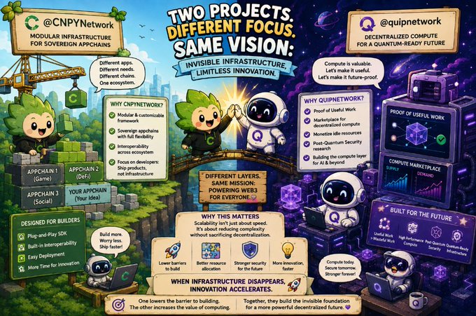 Comparison infographic between @CNPyNetwork and @quipnetwork, two blockchain projects with 'Different Focus, Same Vision' and 'Same Mission: Powering Web3 for Everyone'.