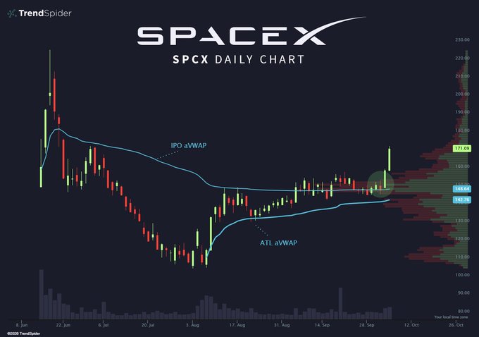 A daily candlestick chart of SpaceX ($SPCX) showing price action from June to October, with annotated anchored VWAPs (IPO aVWAP at ~171.08 and ATL aVWAP at ~148.96) and a volume profile on the right side, illustrating the bullish reversal pattern Elon Musk called out with "Beautiful. Just beautiful."