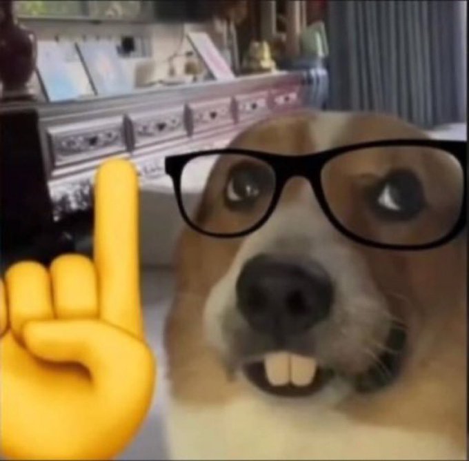 A popular meme featuring a close-up of a beagle wearing black-rimmed glasses next to a large yellow cartoon pointing hand, set in a living room.