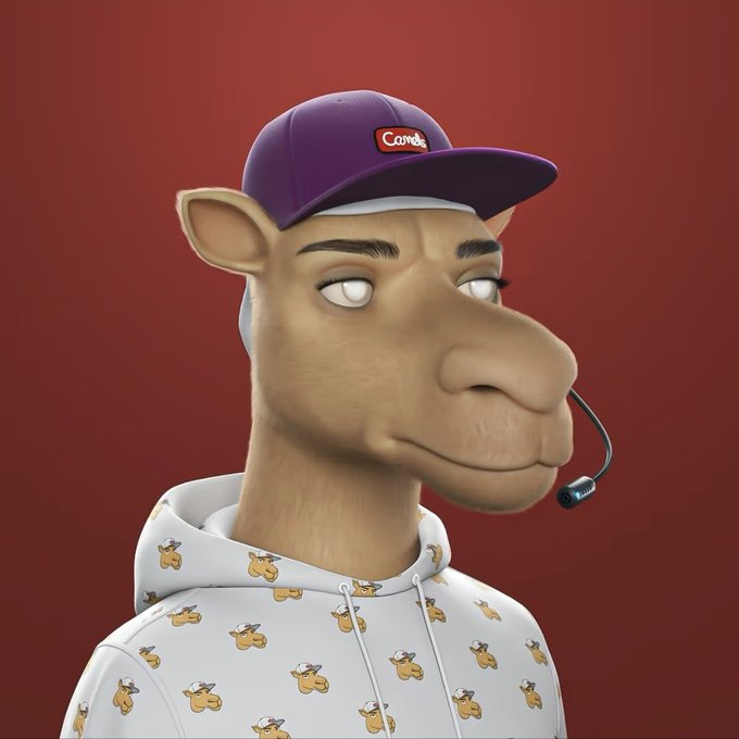 A 3D-rendered anthropomorphic llama character wearing a purple 'Carvel' baseball cap, a headset microphone, and a white hoodie patterned with small llama faces.