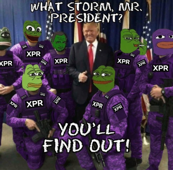 A meme image featuring a man in a suit surrounded by people in purple tactical gear with 'XPR' on their vests and Pepe the Frog faces; text reads 'WHAT STORM, MR. PRESIDENT?' and 'YOU'LL FIND OUT!'