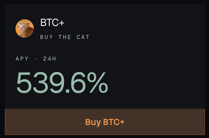 A cryptocurrency interface showing a token called 'BTC+' with a cat avatar, featuring a tagline 'BUY THE CAT' and displaying a 24H APY of 539.6% above a 'Buy BTC+' button.
