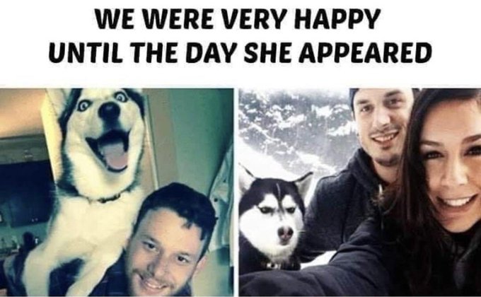 A meme shows a man's happy husky on the left photo and the same husky looking displeased in a selfie with a new woman on the right, captioned "WE WERE VERY HAPPY UNTIL THE DAY SHE APPEARED" — humorously depicting the dog as jealous of a new girlfriend, fitting the "villain origin story" theme.