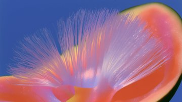 A vibrant, abstract splash of pink, orange, and pastel hues bursts outward in fluid, hair-like streaks against a deep blue background, with a glowing iridescent edge on the right. The accompanying "070" tag likely references this as a numbered post in a digital art or NFT series, where the image's striking visual complexity serves as the featured artwork.