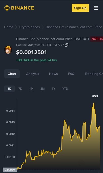 A Binance price chart screenshot for Binance Cat (BNBCAT) showing a price of $0.0012501 and a +39.34% increase over 24 hours, with the contract address partially visible as 0x3EFB...6A7777.