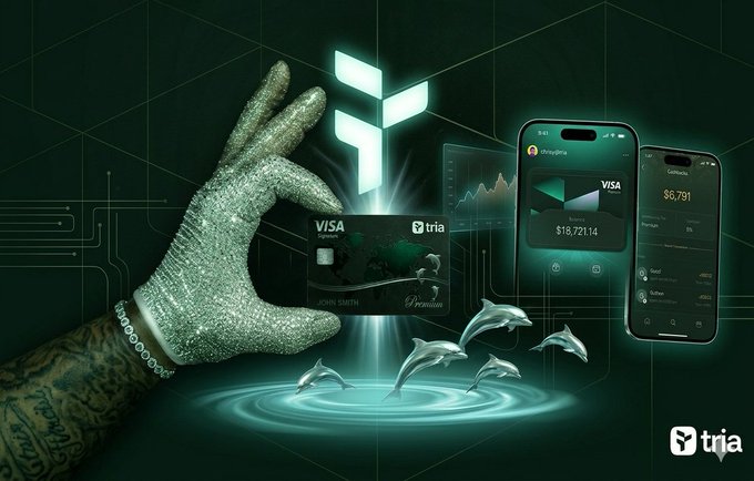 The image features a hand holding a Visa card, with a smartphone and tablet displaying information about the card's details. The background of the image is green, and there are three dolphins swimming around the card. The text accompanying the image reads "Web3 doesn' have a discovery problem. It has a staying problem. People aren' leaving because they don' care. They're leaving in the first five minutes. Seed phrases. Random gas fees. A login that breaks once. That's all it takes."