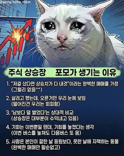 A meme image of a crying white cat with a red stock chart crash in the background, featuring Korean text listing 5 reasons why attention-seeking stocks (주식 상승장) are growing: 1. The meme that 'this time it's different' is the most powerful, 2. Liquidity came in, but only to our eyes, 3. As short sellers cover, it goes up (thanks to the upward rebound of short positions), 4. This creates an illusion of tremendous buying power (this bubble is also temporary), 5. People are trained to jump into rallies without thinking.