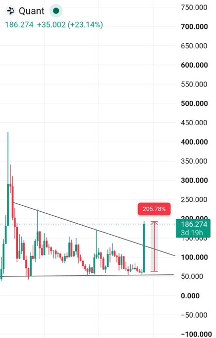 A candlestick chart showing $QNT (Quant) trading at 186.274, up 35.002 (+23.14%) with a 205.78% gain highlighted over 3 days and 19 hours. The annotation and recent price surge visualized the post's celebration of bottom-call accuracy, illustrating the reward of patience and proper entry timing on the long-term uptrend (note the diagonal trendline marking a descending resistance pattern being broken).