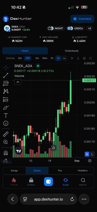 A mobile screenshot of the DexHunter app showing a candlestick chart for the SNEK/ADA trading pair priced at 0.00217 with +12.9% change, displaying market cap of $162M, 24H volume of $389K, and liquidity of $2.45M.