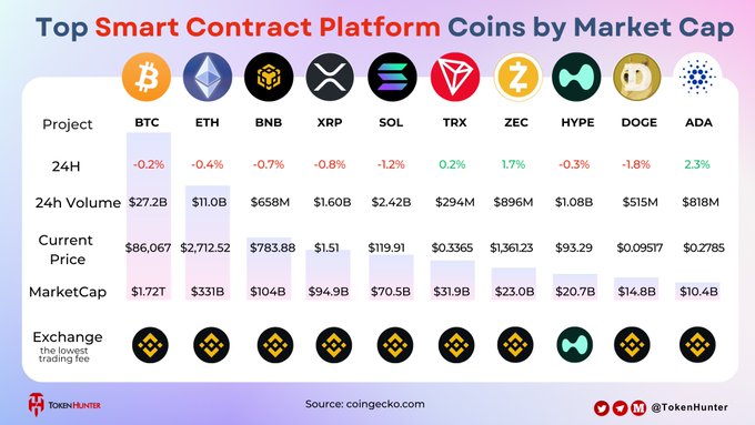 An infographic titled "Top Smart Contract Platform Coins by Market Cap" comparing BTC, ETH, BNB, XRP, SOL, TRX, ZEC, HYPE, DOGE, and ADA with their 24-hour changes, volumes, prices, and market caps, sourced from coingecko.com by TokenHunter.