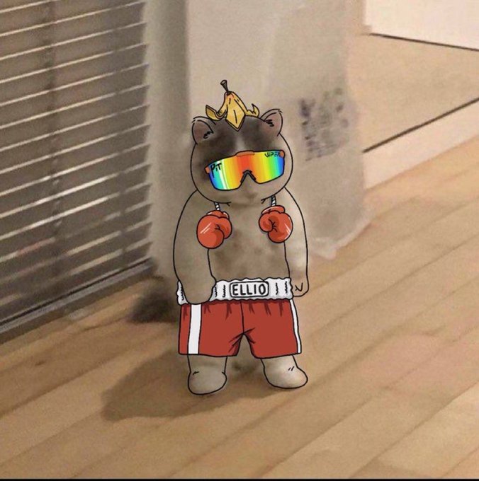 A cartoon-style edited image of a cat wearing rainbow sunglasses, a banana peel on its head, red boxing gloves, red boxing shorts with 'ELLIO' on the waistband, standing on a wooden floor.