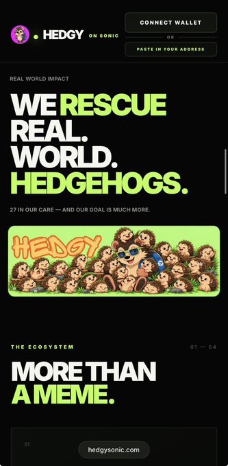 A webpage for the Hedgy project on Sonic, with bold text reading 'WE RESCUE REAL. WORLD. HEDGEHOGS.' and 'MORE THAN A MEME,' featuring an illustration of cartoon hedgehogs and buttons to 'CONNECT WALLET' or 'PASTE IN YOUR ADDRESS'.