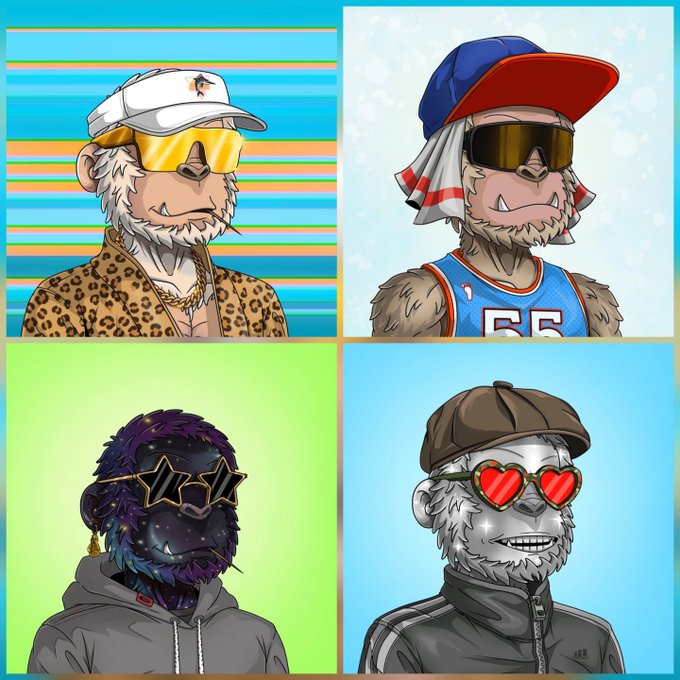 Four cartoon sloth NFT characters in a grid, each wearing different accessories including a leopard print shirt, sports jersey #66, star-shaped sunglasses, and heart-shaped sunglasses.