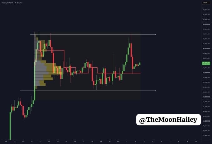 A Bitcoin trading chart showing price action with candlesticks, volume profile, and horizontal support/resistance lines, watermarked '@TheMoonHailey' in the corner.