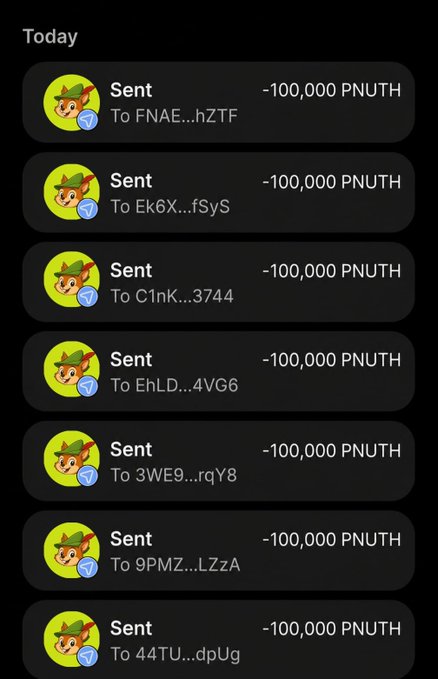 A mobile wallet transaction history showing multiple 'Sent' transactions of -100,000 PNUTH tokens to various recipient addresses today.
