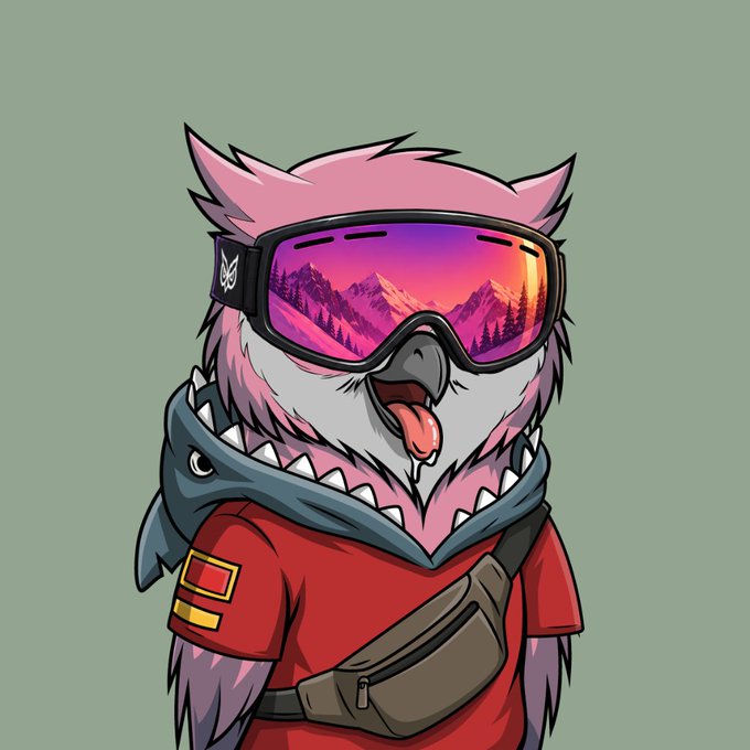 A cartoon illustration shows a pink owl character wearing reflective ski goggles reflecting mountains, a red hoodie, and a fanny pack.