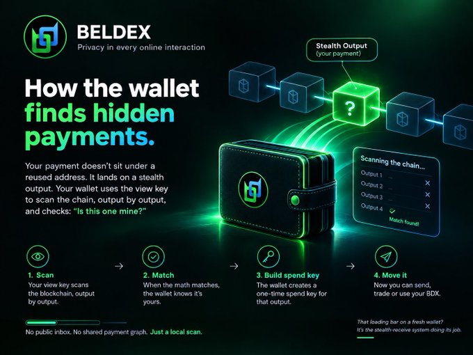 An infographic for 'BELDEX' titled 'How the wallet finds hidden payments' illustrates a stealth output process with a digital wallet scanning the blockchain, featuring steps labeled Scan, Match, Build spend key, and Move it.