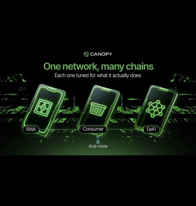 A promotional graphic for 'CANOPY' with the tagline 'One network, many chains,' featuring three smartphone-shaped icons labeled 'RWA', 'Consumer', and 'DeFi'.