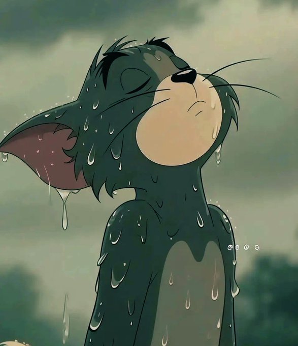 A cartoon cat with dark fur stands drenched in the rain, its head tilted upward with eyes closed and water dripping from its whiskers and ears against a gloomy sky.