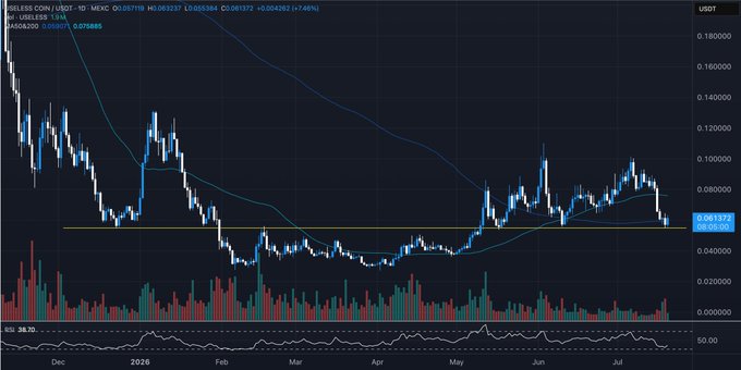 The image displays a daily candlestick chart of $USDT (likely a mislabel for the meme coin in question) against USDT on what appears to be MEXC, showing a strong rally from lows around 0.02 to a high near 0.16 before pulling back to approximately 0.061932, with the price currently testing a key horizontal support level (yellow line) around 0.065886. The chart supports the post's bullish thesis by illustrating the coin's massive outperformance this year, with the recent pullback to support presenting a potential accumulation opportunity despite the broader downtrend in price action.