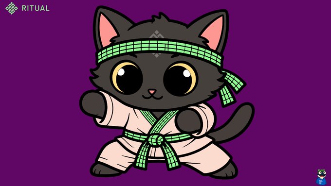 A cartoon black cat dressed as a martial artist with a green headband on a purple background, branded with the 'RITUAL' logo in the top left.