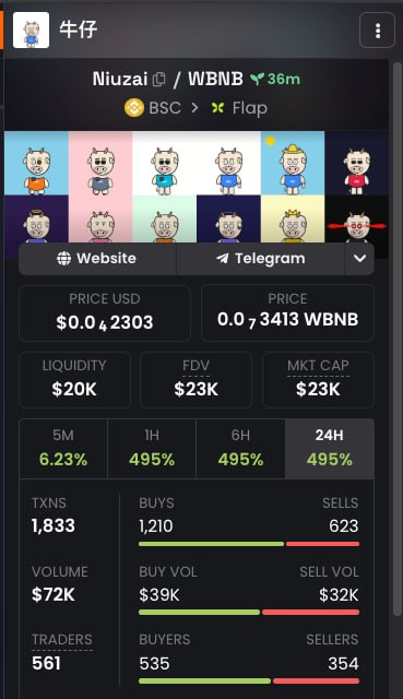 A cryptocurrency tracking screen showing token details for 'Niuzai' (牛仔) on BSC network, displaying price in USD and WBNB, with liquidity, FDV, and market cap metrics.