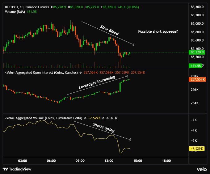 A TradingView chart of BTCUSDT perpetual futures on Binance showing a 'Slow Bleed' downtrend, with annotations highlighting 'Leverages increasing' and 'Shorts aping' on the Velo Aggregated Open Interest and Cumulative Delta indicators, along with speculation of a 'Possible short squeeze?'